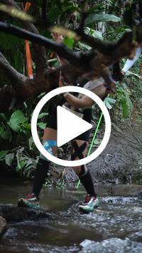 BIB:  <button type="button" onclick="openModal(27240794)" class="btn btn-primary btn-sm float-right" data-toggle="modal" data-target=".modal-high-quality">
                <i class="fa fa-download"></i> Download
                </button>